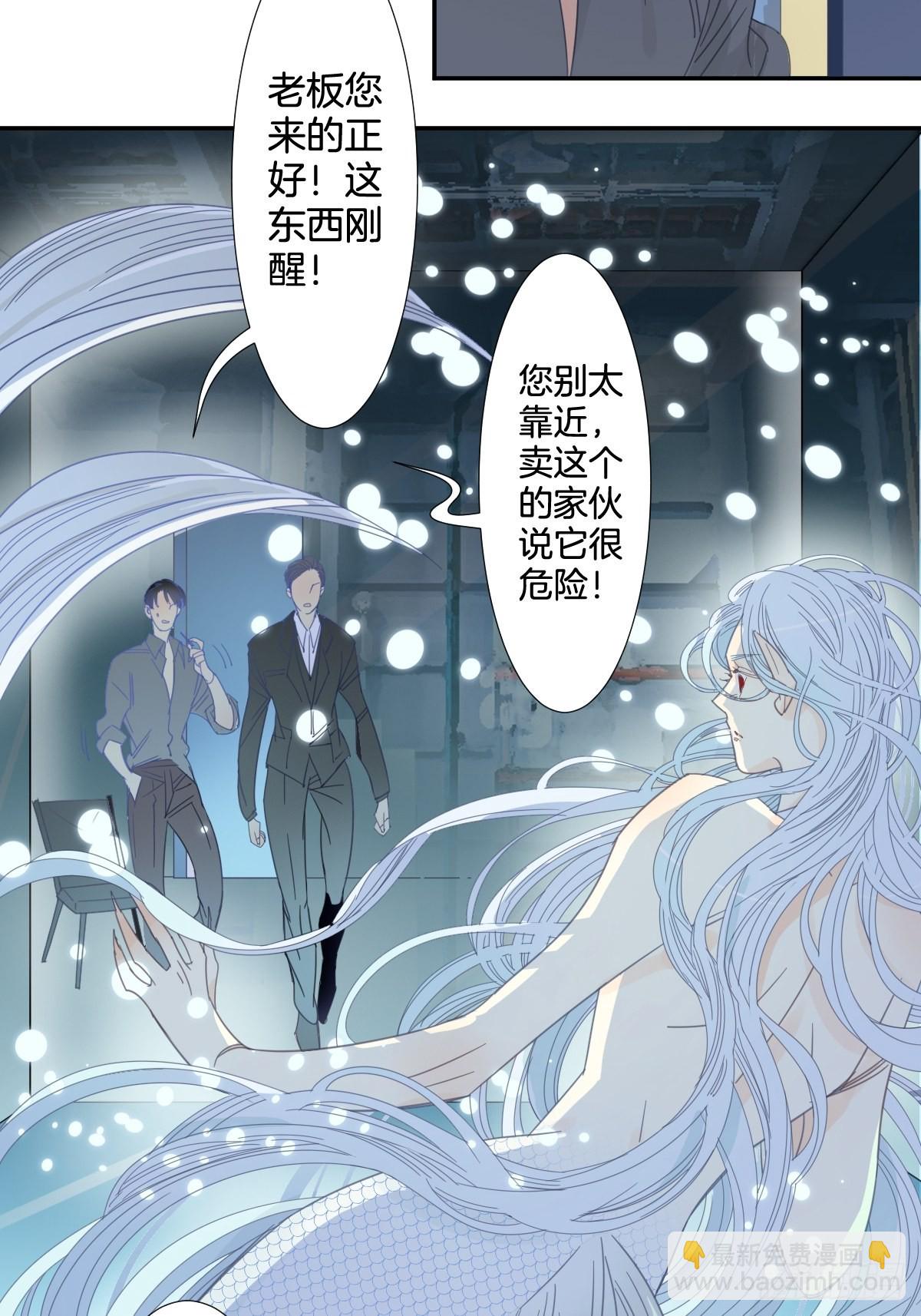《家养美人》四十一话 第11页