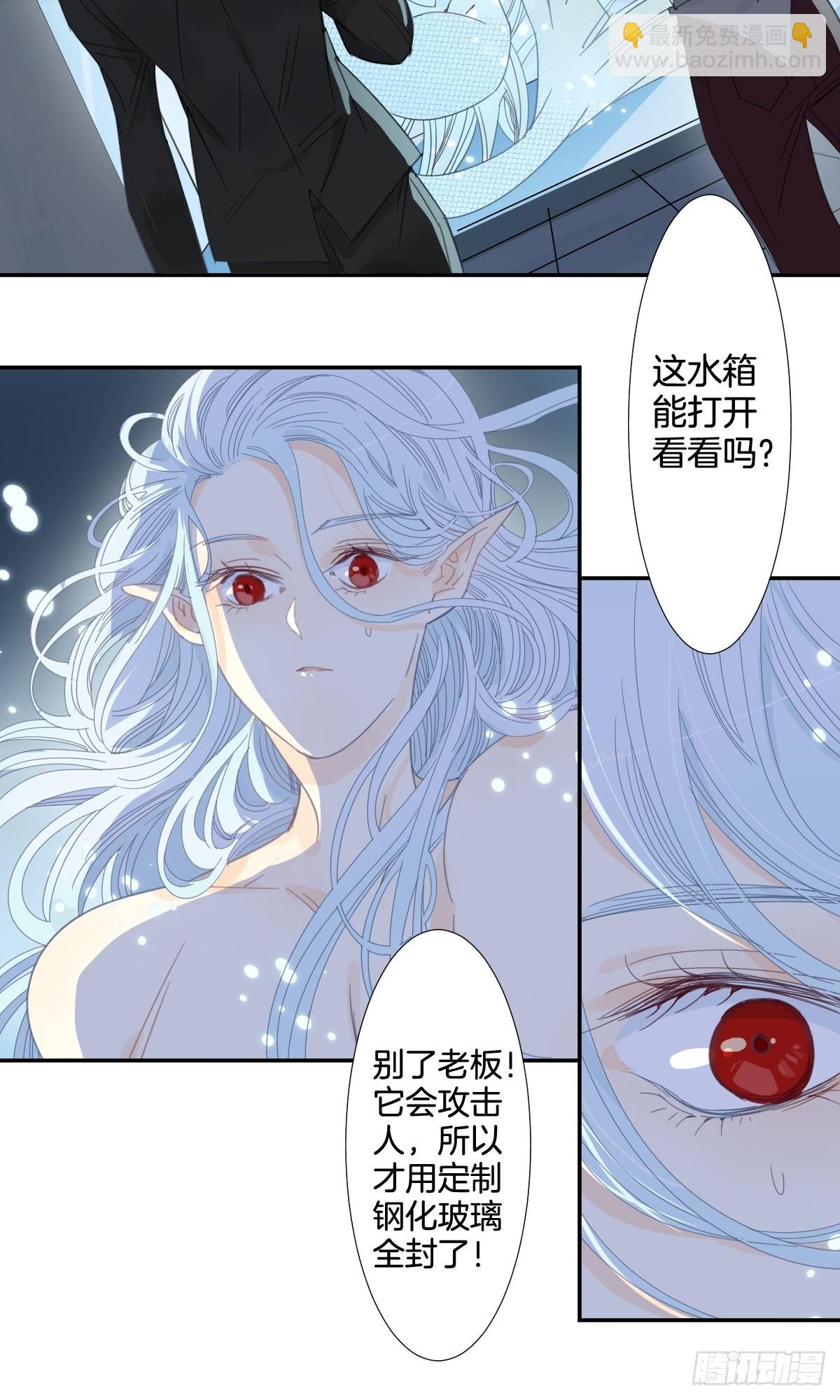 《家养美人》四十一话 第13页