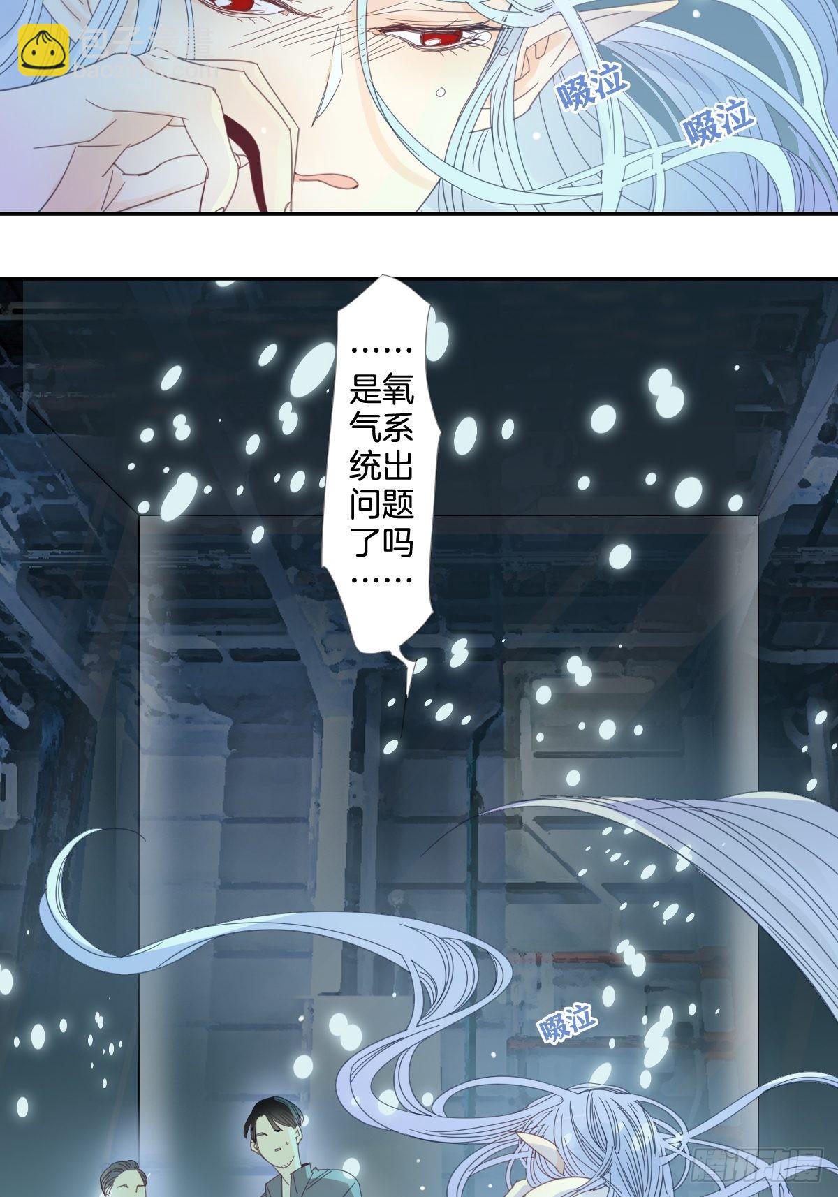 《家养美人》四十一话 第20页