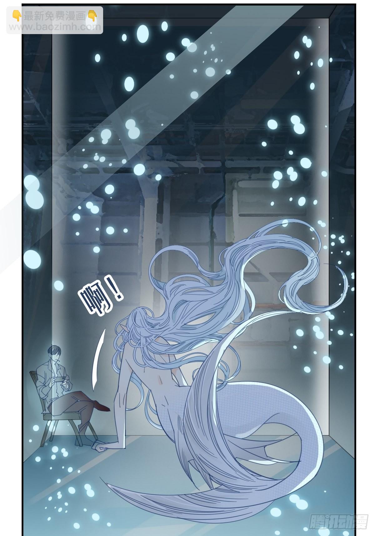《家养美人》四十一话 第7页