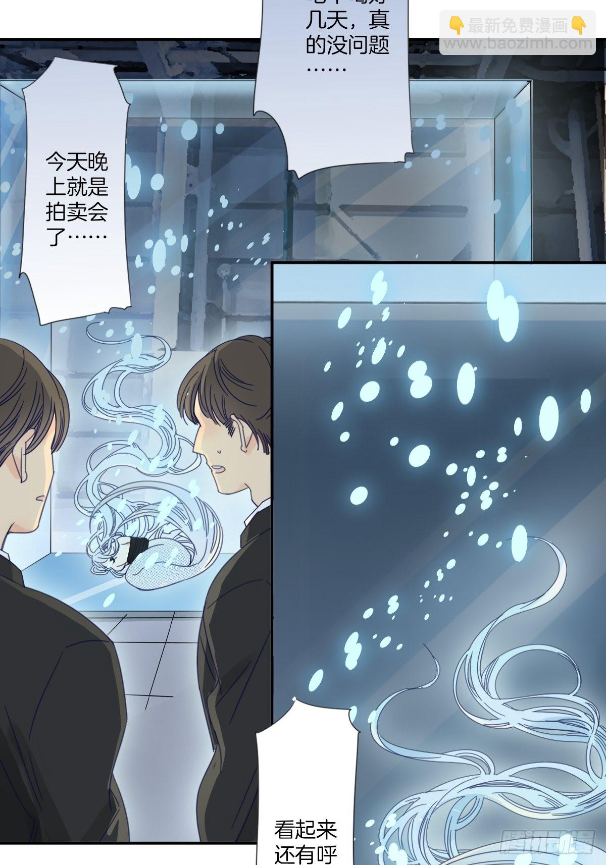 《家养美人》四十二话 第15页