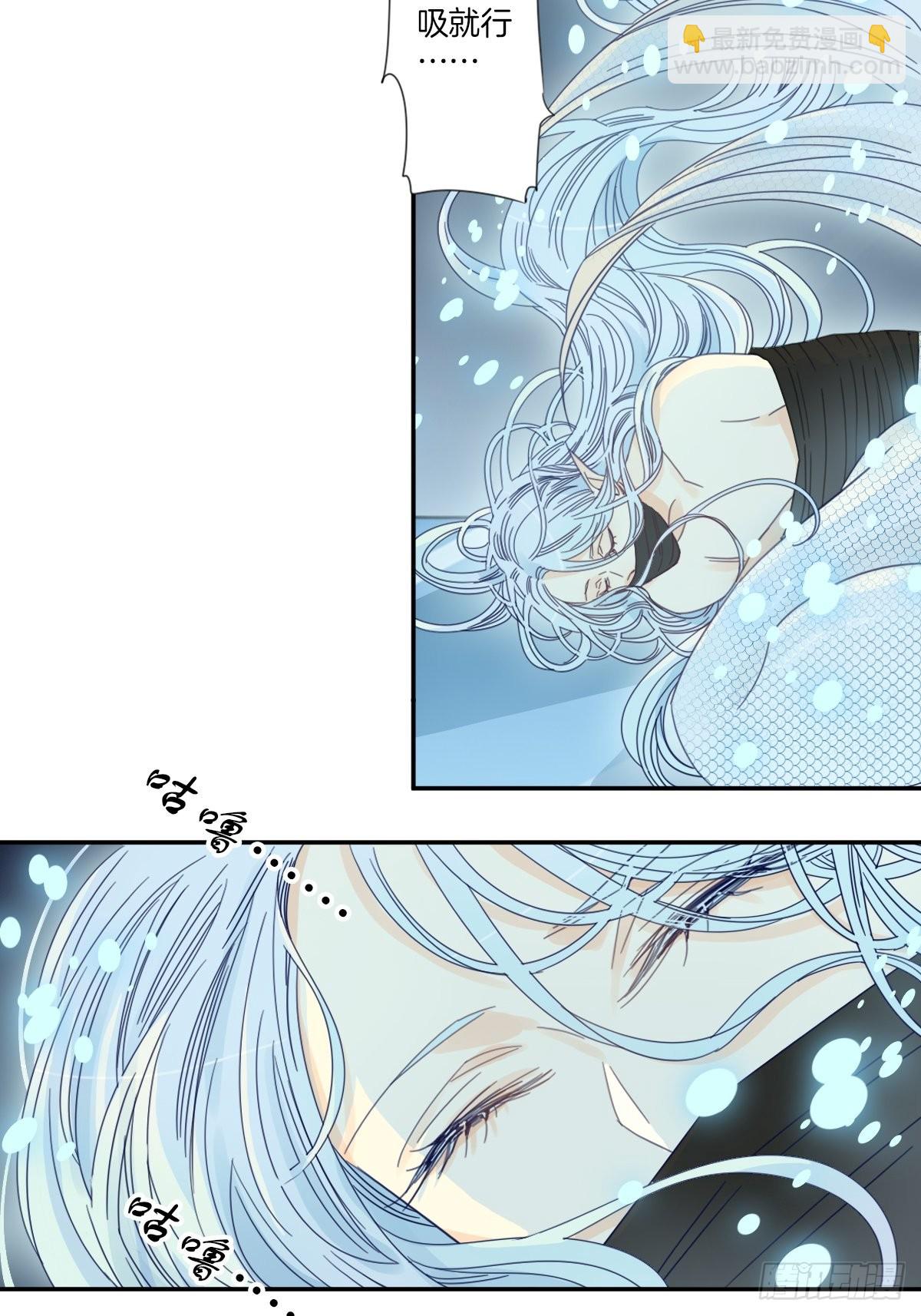 《家养美人》四十二话 第16页