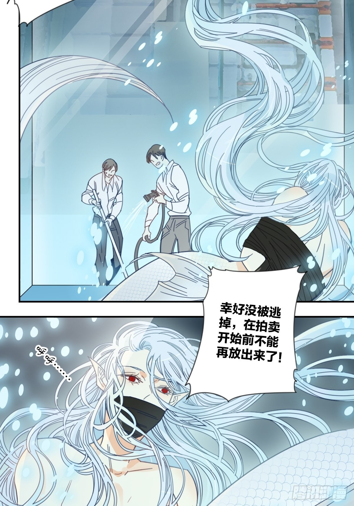 《家养美人》四十二话 第7页