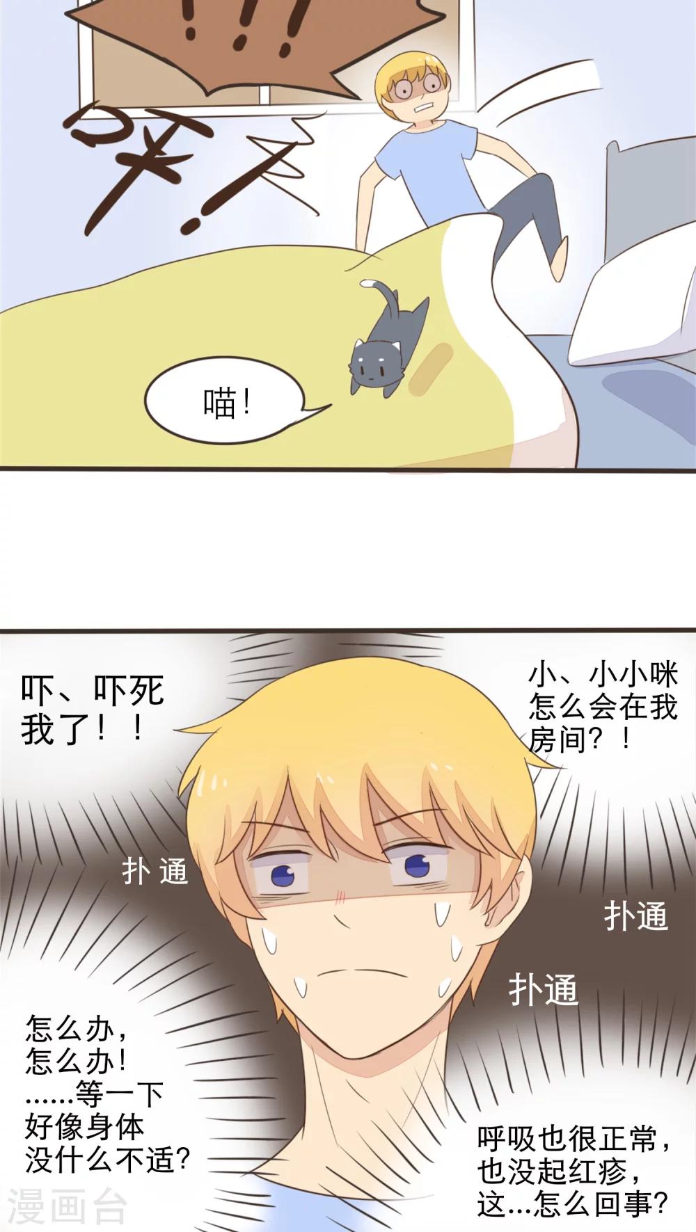 《种族不同怎么谈恋爱》第42话 第11页