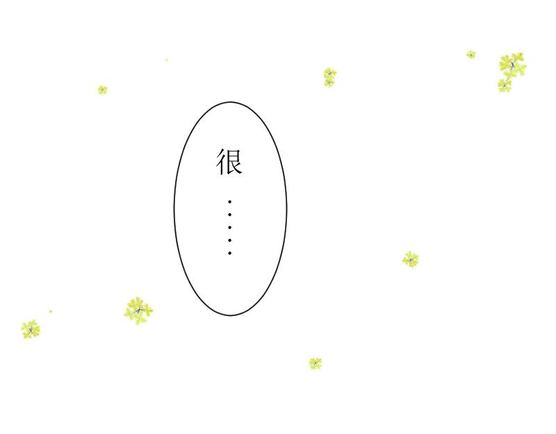 《桂花香》青中 第27页