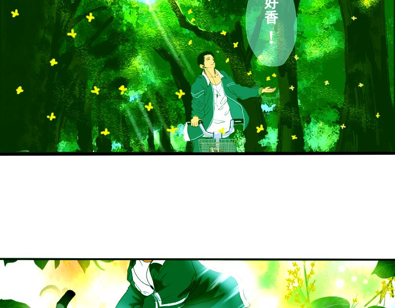 《桂花香》青上 第35页