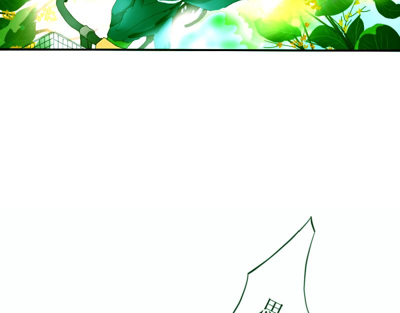 《桂花香》青上 第36页