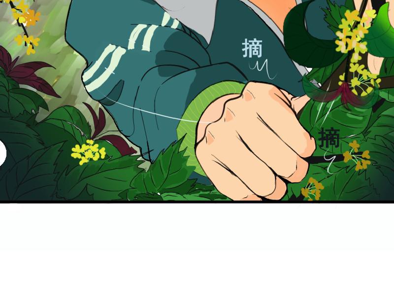 《桂花香》青上 第41页