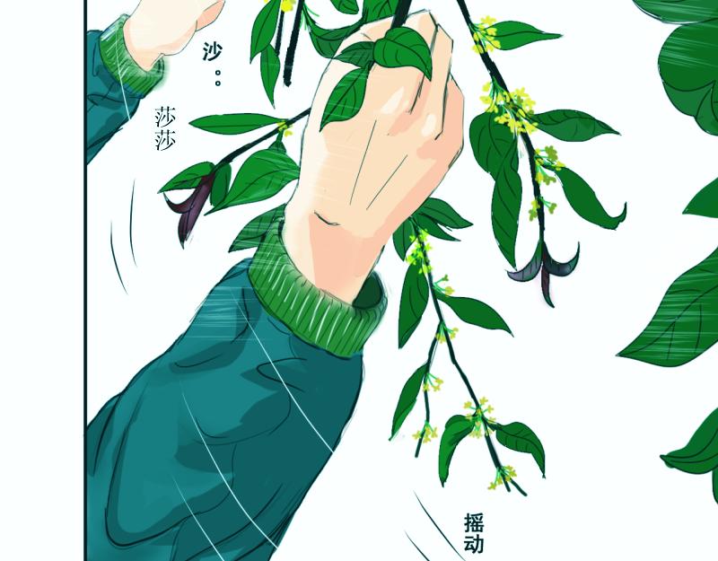 《桂花香》青上 第43页