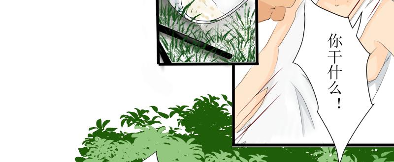 《桂花香》芒种1 第39页