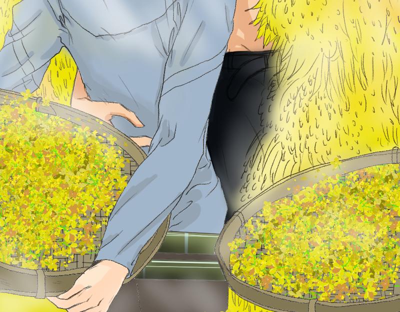 《桂花香》炼田·技巧 第35页