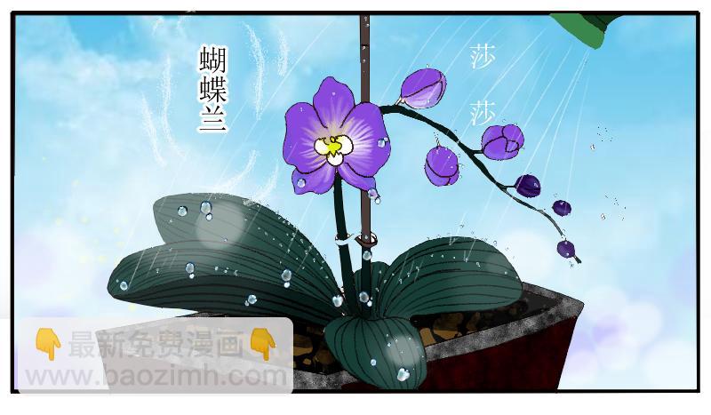 《桂花香》芒种13 第7页