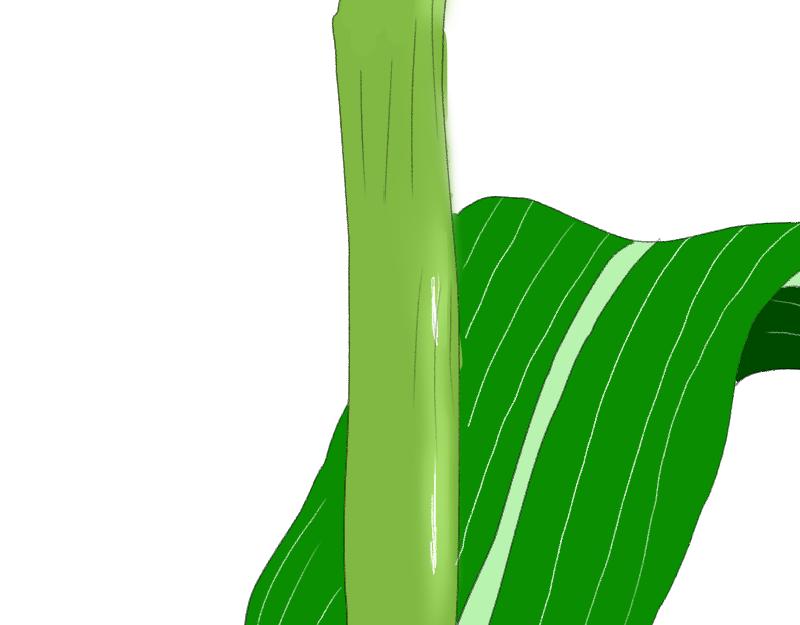 《桂花香》赛春秧2 第45页