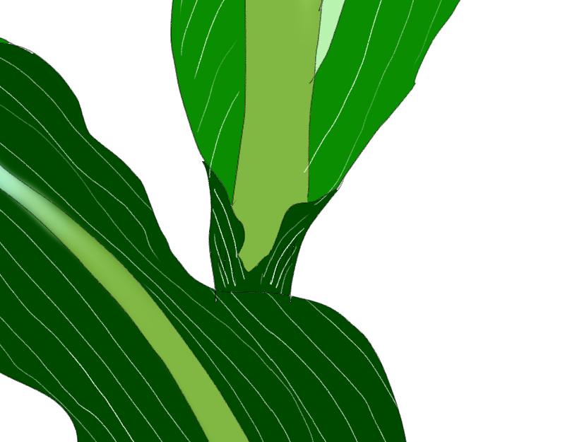 《桂花香》赛春秧2 第46页