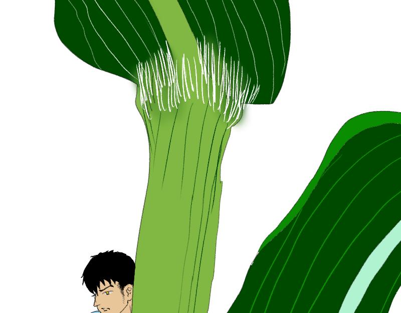 《桂花香》赛春秧2 第47页