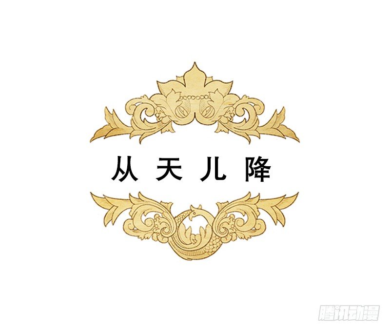 《从天儿降》米尔要上学 第1页