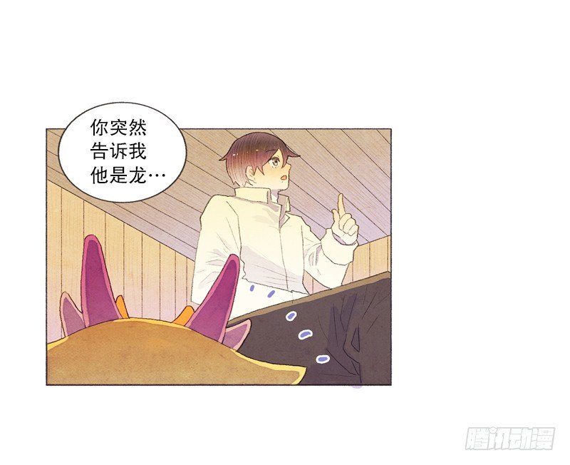《从天儿降》传说中的龙之子 第19页
