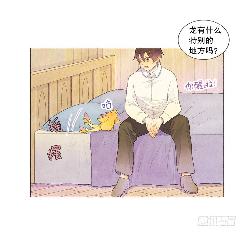 《从天儿降》传说中的龙之子 第20页