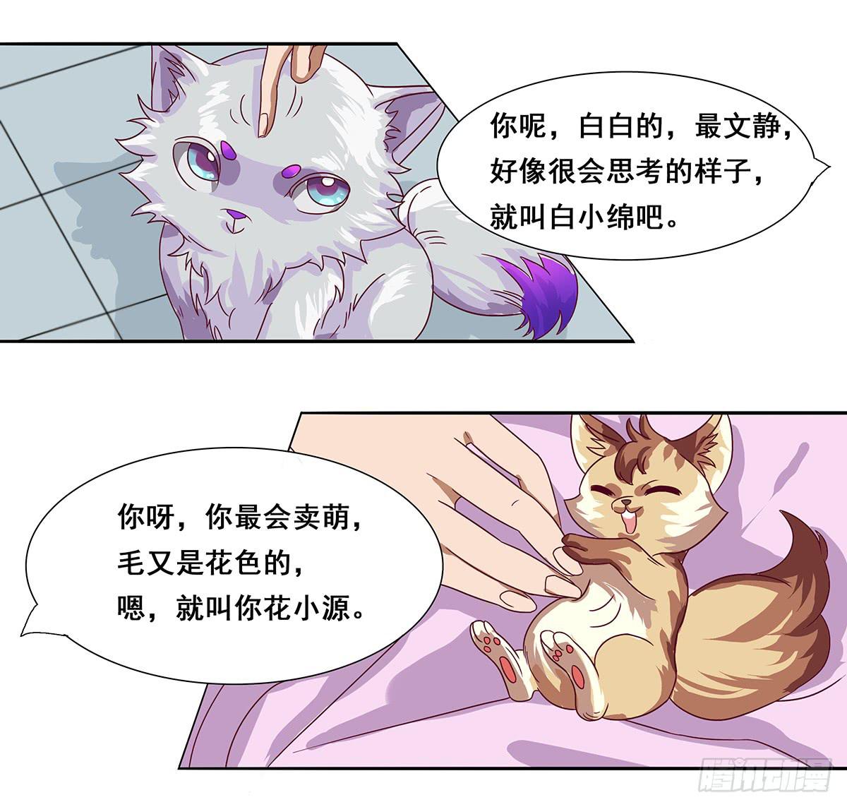 《逆袭之灵狐调教我》四只狐 第39页