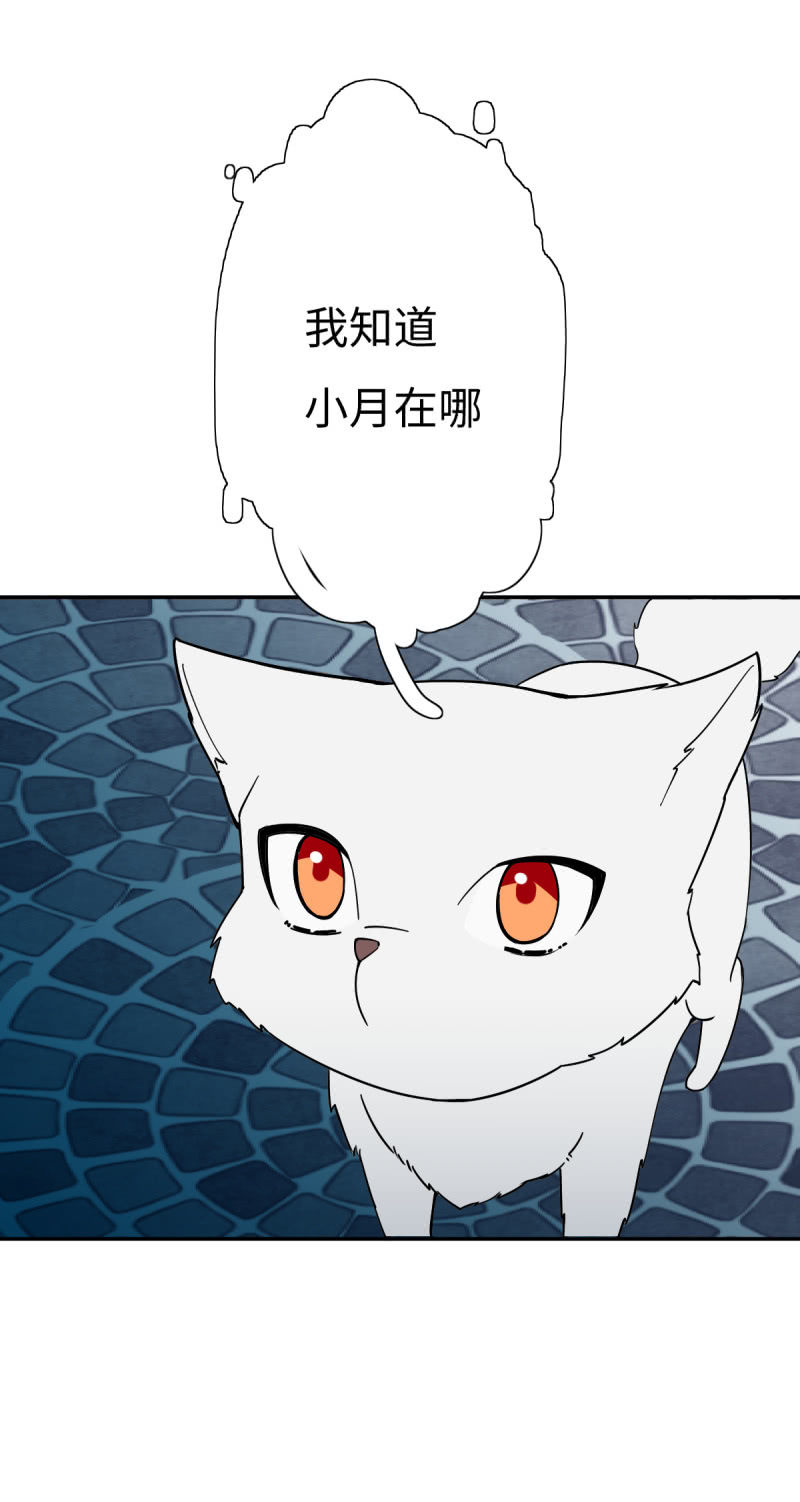 《双子与黑猫》与小狐狸的对话 第2页
