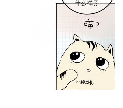 《追梦之人》回归(3) 第11页