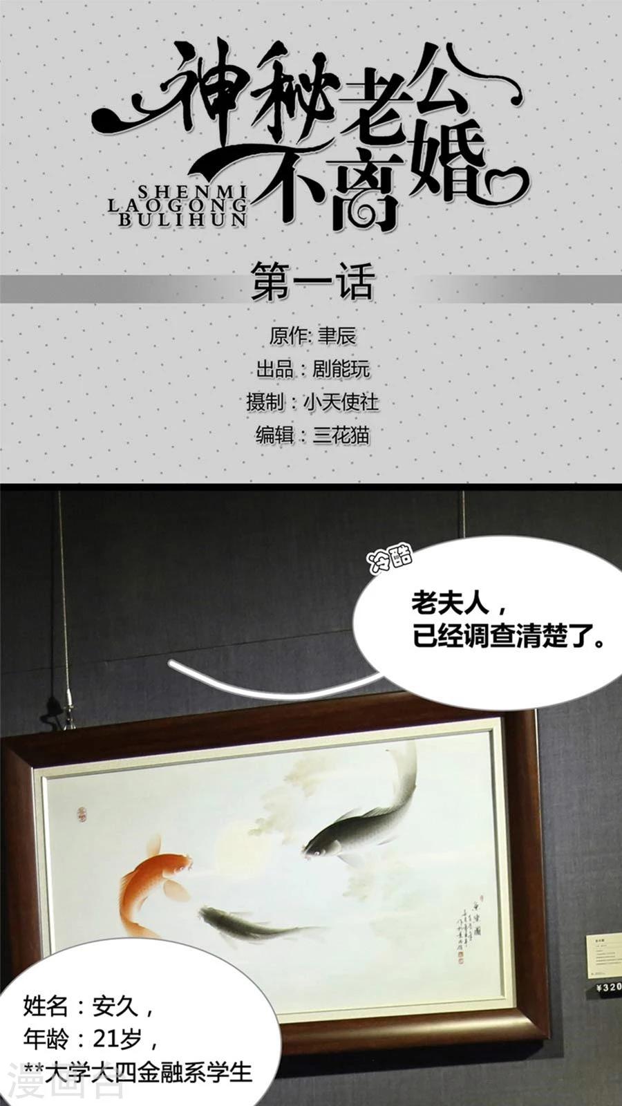 《神秘老公不离婚》第1话 第1页
