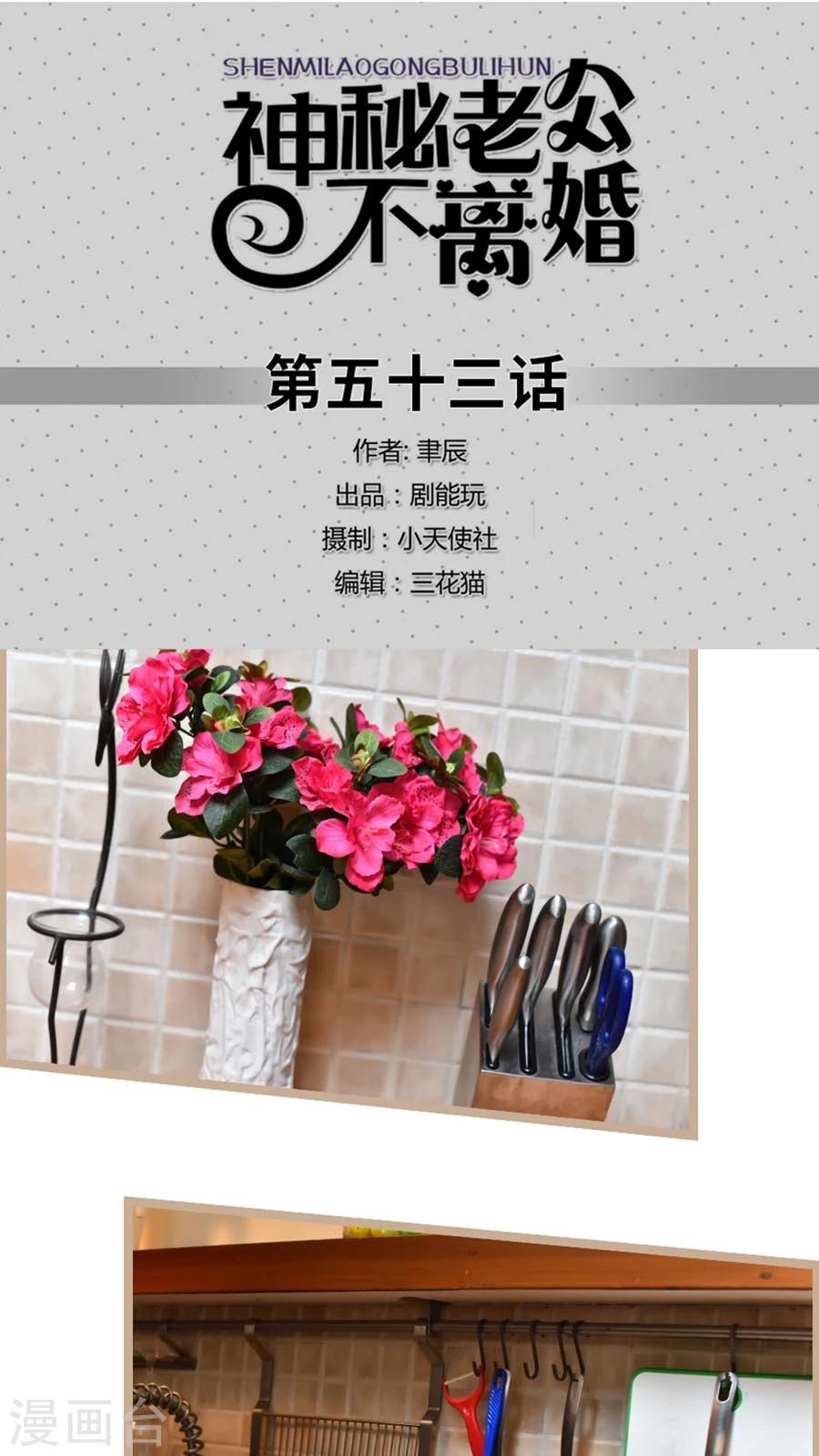 《神秘老公不离婚》第53话 第1页