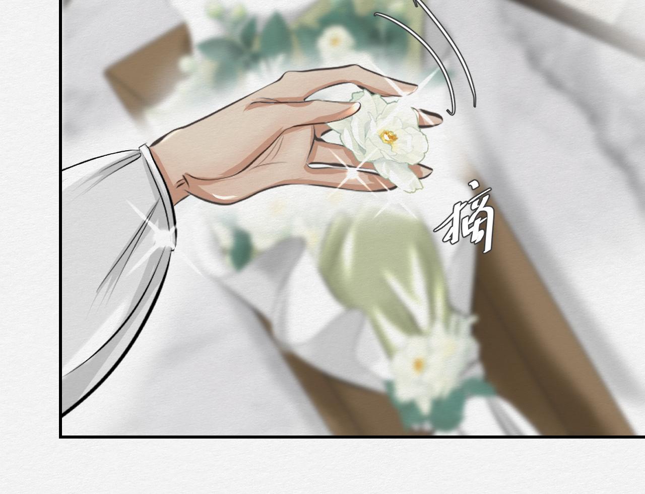 《白湫山海》山茶花 第19页