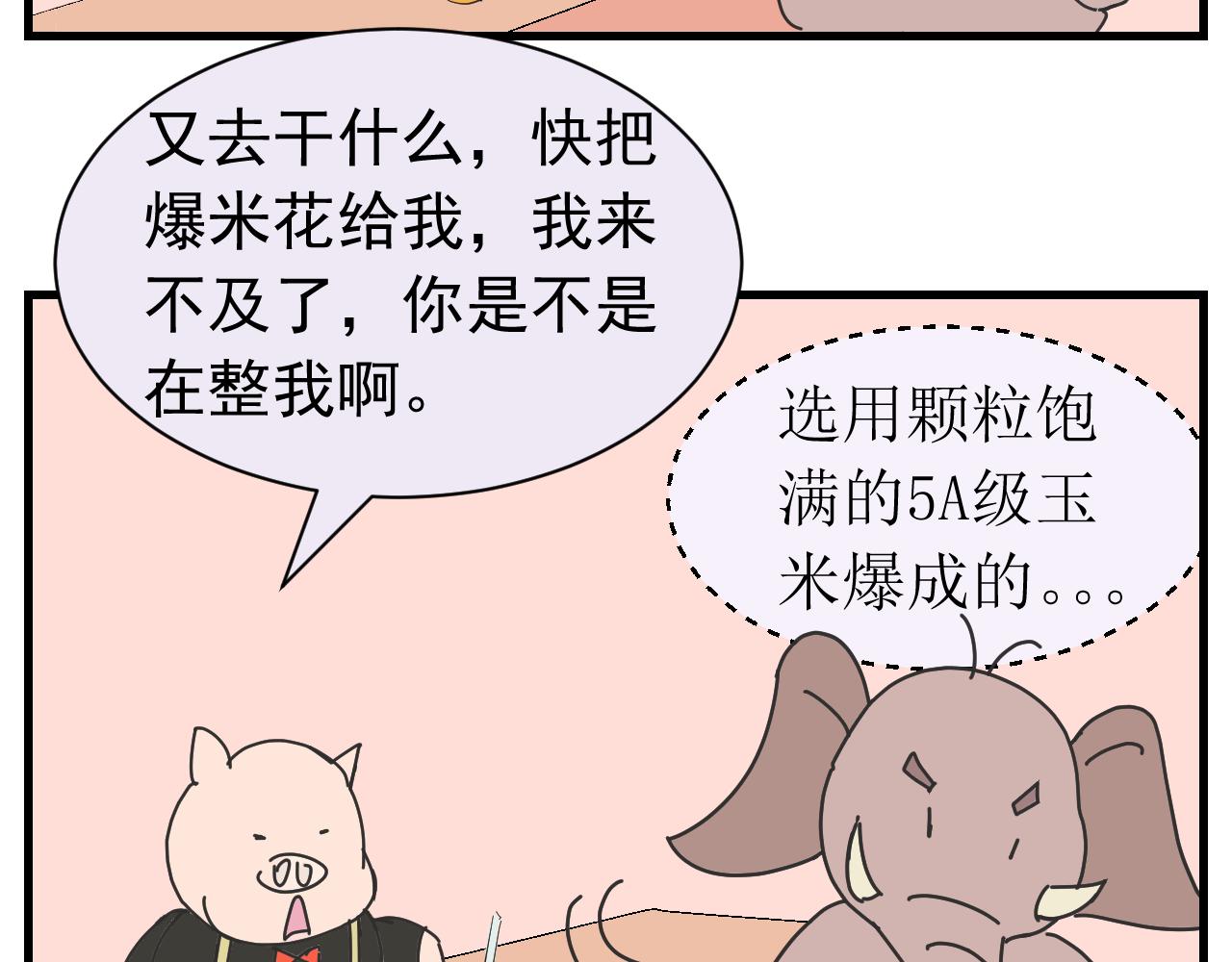 《133天后辞职的帽帽象》第七周 第11页
