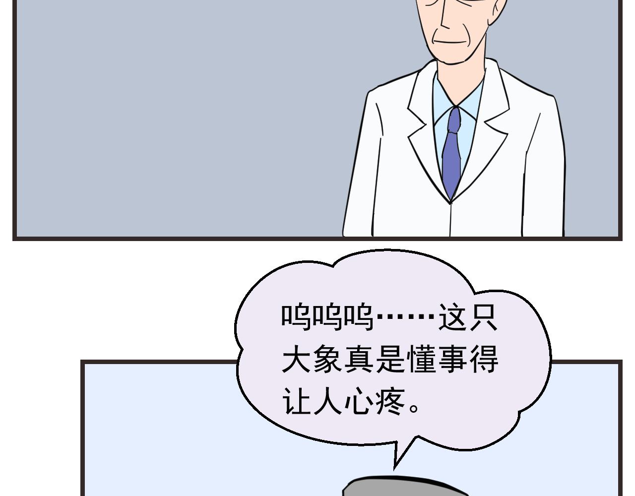 《133天后辞职的帽帽象》第八周 帽帽和医生 第34页