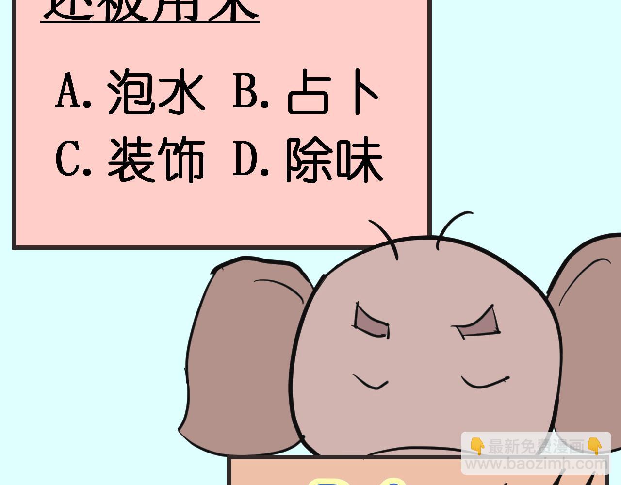 《133天后辞职的帽帽象》第15周 爆米花大赛（1） 第17页