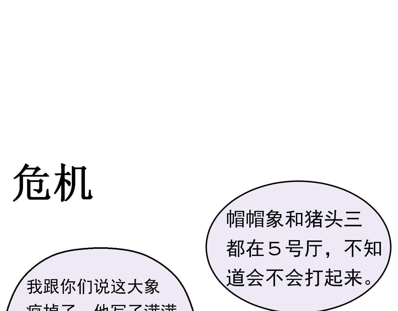 《133天后辞职的帽帽象》第17周 第13页