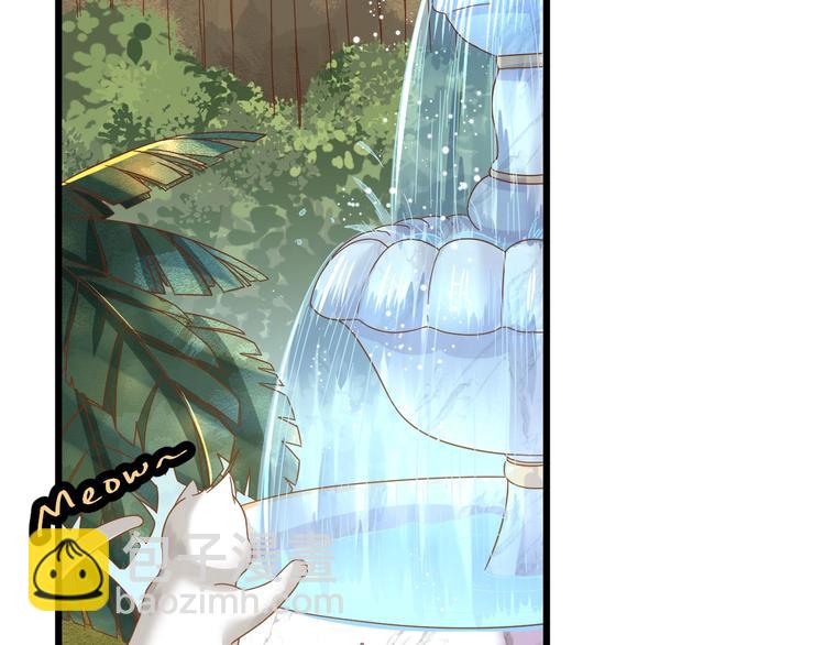 《不逃婚不许成精》第1话 猫才不接受包办婚姻 第41页