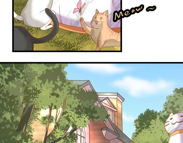 《不逃婚不许成精》第1话 猫才不接受包办婚姻 第42页