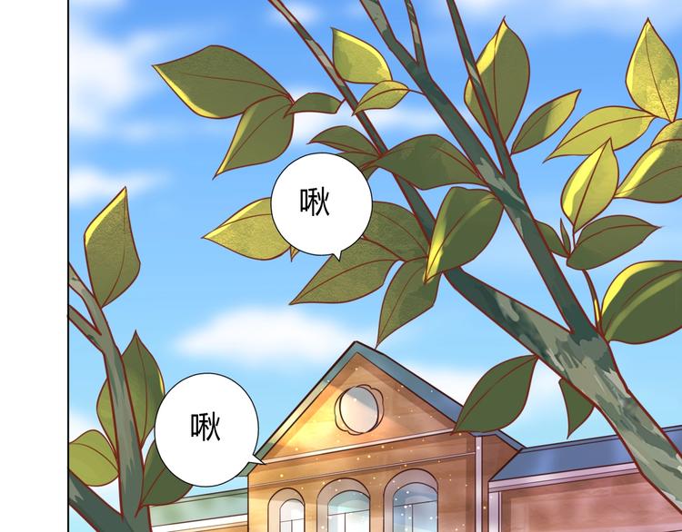 《不逃婚不许成精》第4话 婚礼来的太快就像龙卷风 第5页