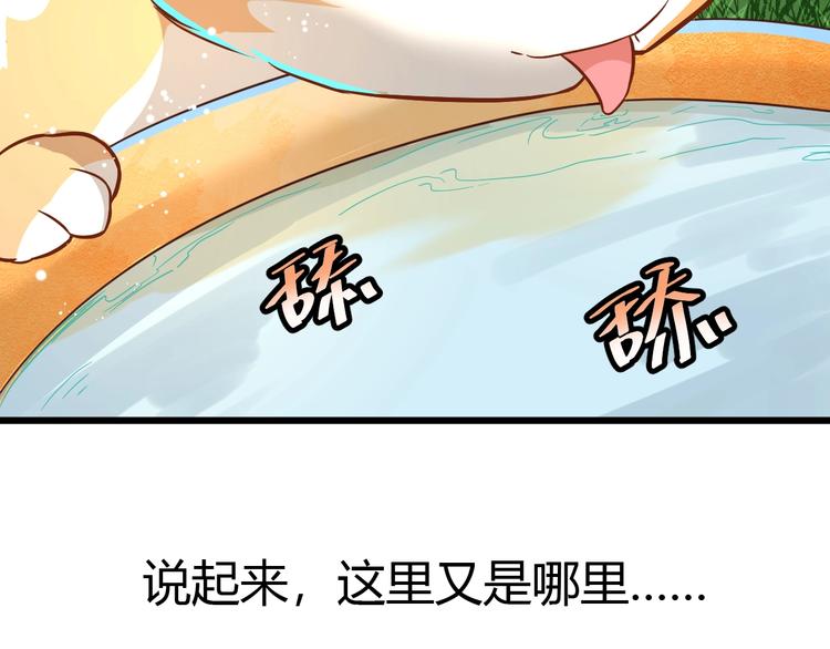 《不逃婚不许成精》第7话 变回原形的橘猫公主 第12页