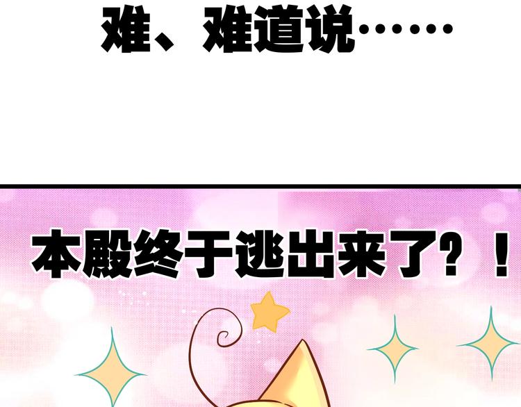 《不逃婚不许成精》第7话 变回原形的橘猫公主 第13页