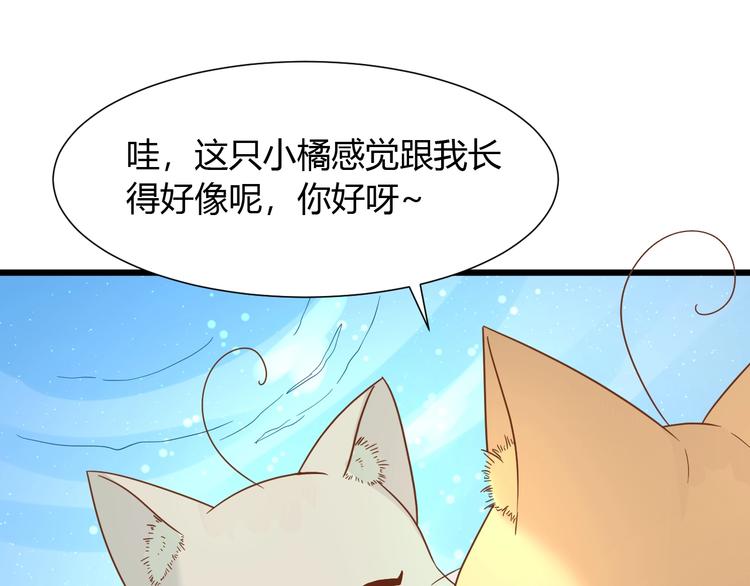 《不逃婚不许成精》第7话 变回原形的橘猫公主 第15页