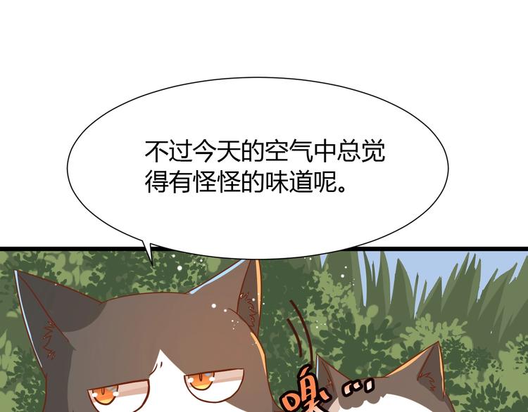 《不逃婚不许成精》第7话 变回原形的橘猫公主 第33页