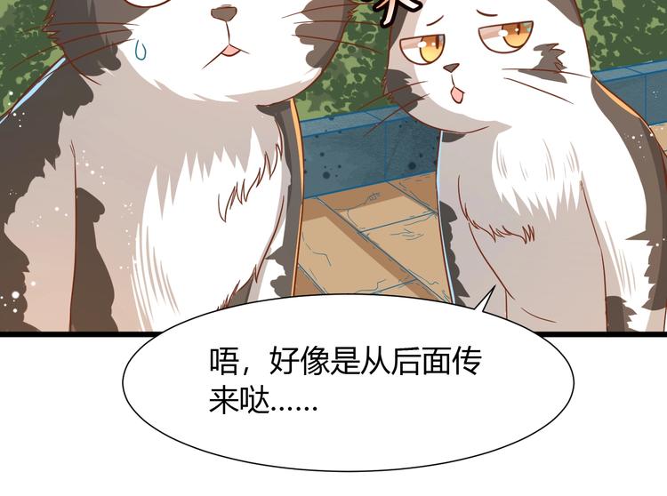 《不逃婚不许成精》第7话 变回原形的橘猫公主 第34页