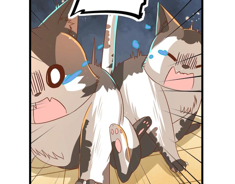 《不逃婚不许成精》第7话 变回原形的橘猫公主 第38页