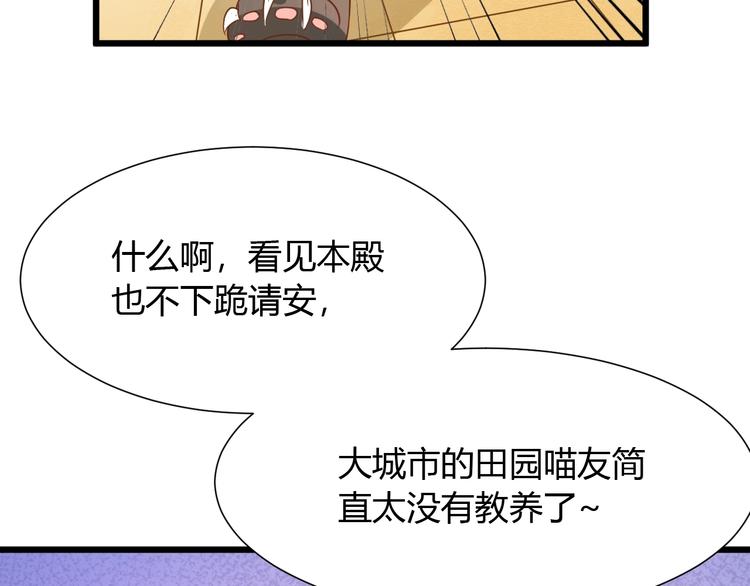 《不逃婚不许成精》第7话 变回原形的橘猫公主 第39页