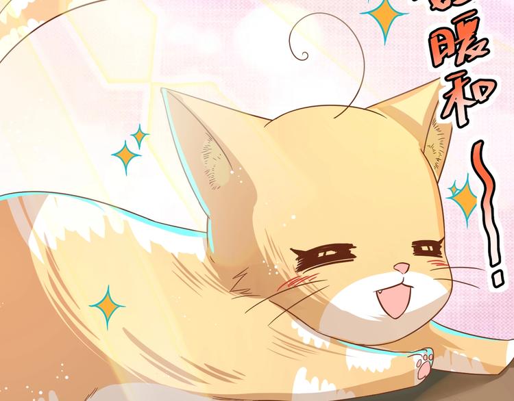 《不逃婚不许成精》第7话 变回原形的橘猫公主 第42页