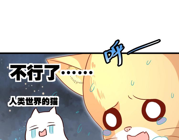 《不逃婚不许成精》第8话 暴躁大佬在线索命 第43页