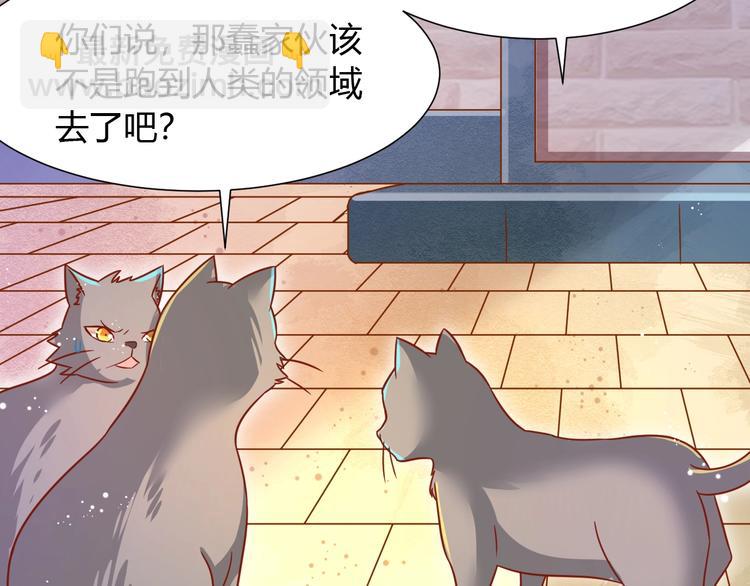 《不逃婚不许成精》第8话 暴躁大佬在线索命 第48页