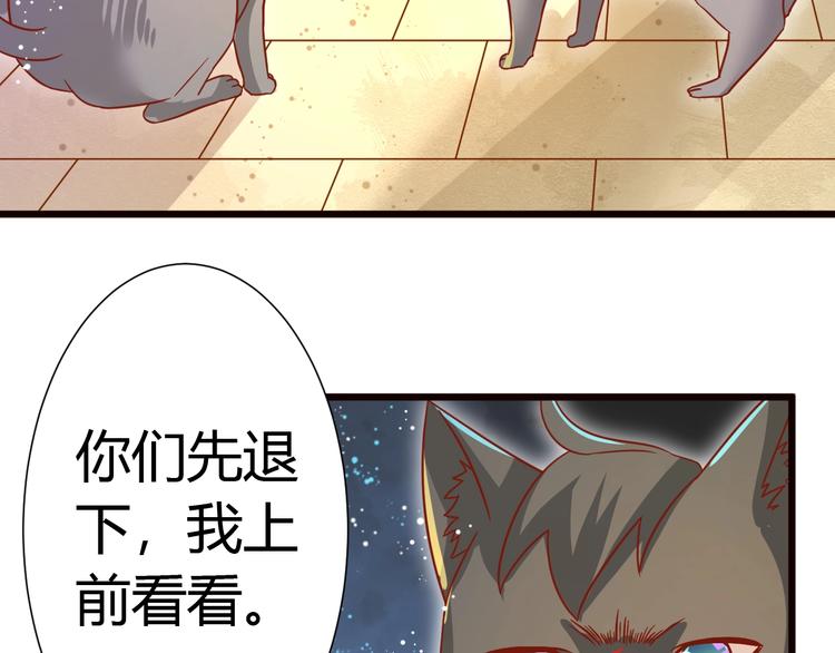 《不逃婚不许成精》第8话 暴躁大佬在线索命 第49页