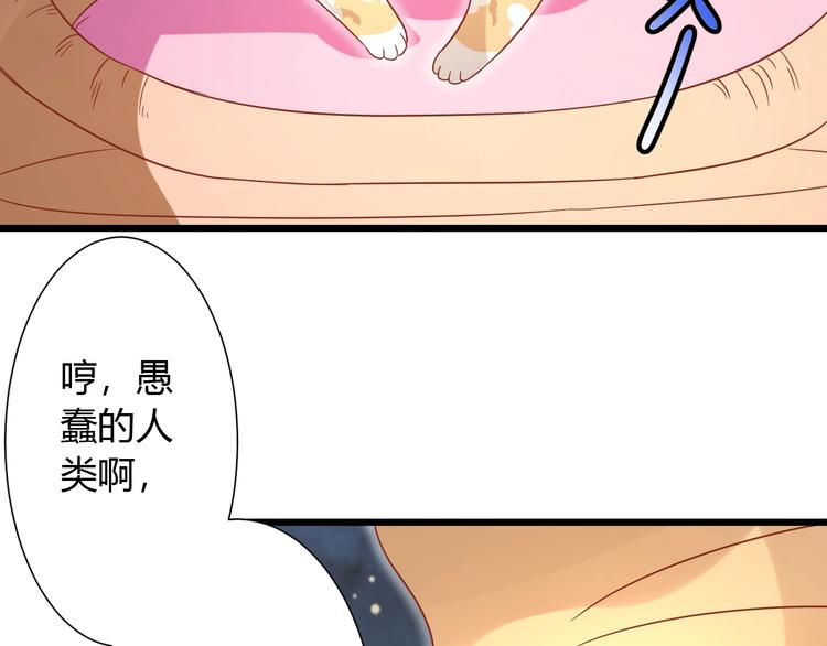 《不逃婚不许成精》第11话 不会再次抛弃你 第19页
