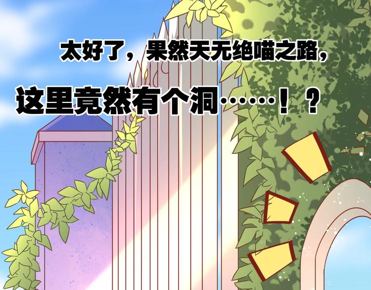 《不逃婚不许成精》第11话 不会再次抛弃你 第31页