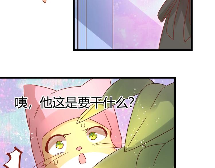 《不逃婚不许成精》第12话 铲屎官的危机 第46页