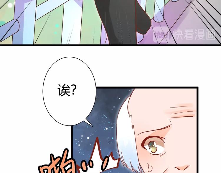 《不逃婚不许成精》第12话 铲屎官的危机 第49页